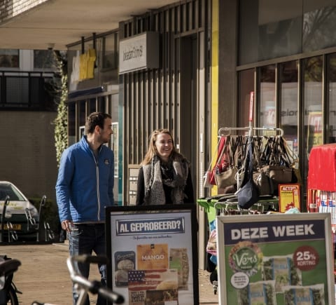 De samenstelling en verdeling van inkomens in Fryslân