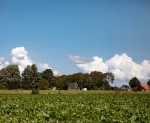 Regio Noordwest Fryslân: inwoners tevreden, maar economisch kwetsbaar
